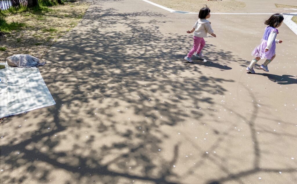 cherry blossom hanami