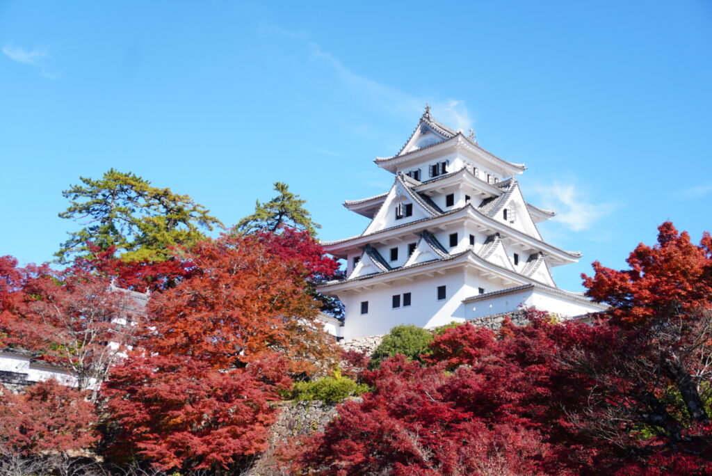Gujo hachiman castle
