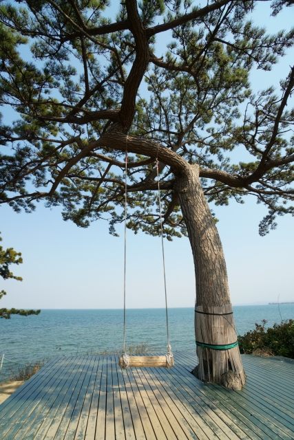 Swing_Himakajima